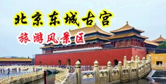 揉插入逼网站中国北京-东城古宫旅游风景区